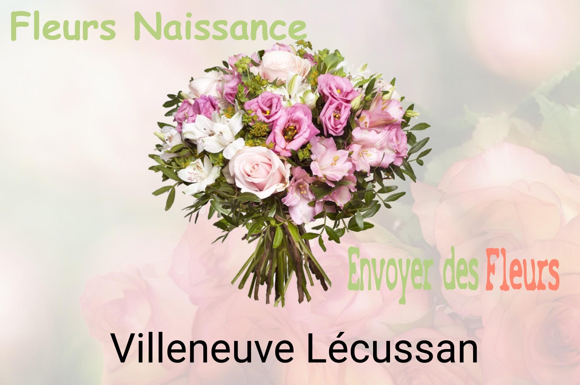 Bouquet de fleurs de naissance livré à Villeneuve-Lécussan