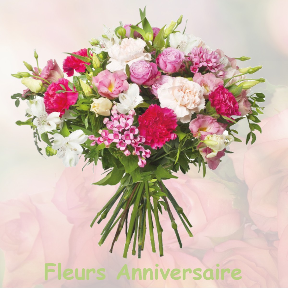 fleurs anniversaire VILLENEUVE-LECUSSAN