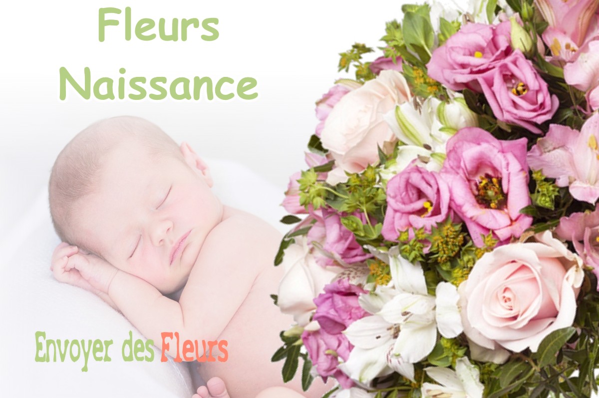 lIVRAISON FLEURS NAISSANCE à VILLENEUVE-LECUSSAN