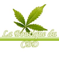 LA BOUTIQUE DU CBD VILLENEUVE-LECUSSAN 