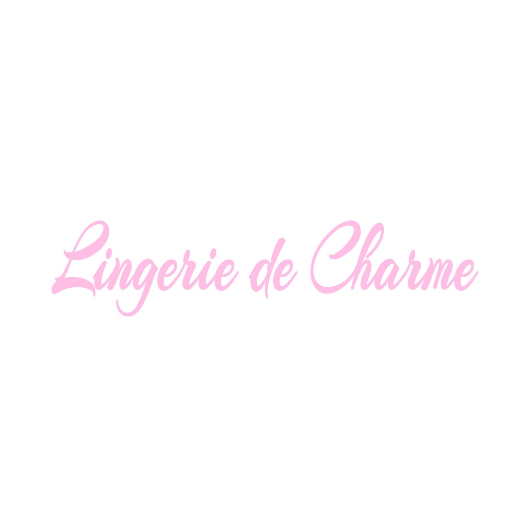 LINGERIE DE CHARME VILLENEUVE-LECUSSAN